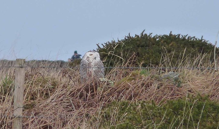 10-january-2009-mjmcgill-0081