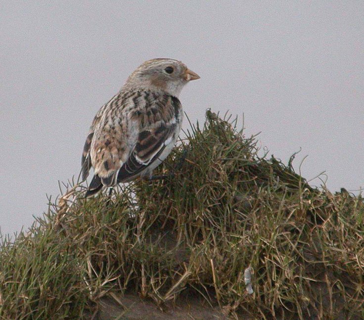 january-2009-mjmcgill-141