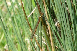 spain-6-19-april-2009-lumix-mjmcgill-264