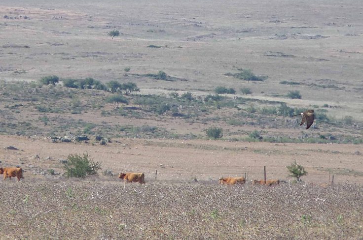 spain-6-19-april-2009-lumix-mjmcgill-029