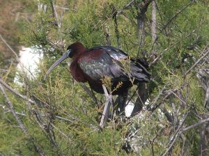 spain-6-19-april-2009-coolpix-lumix-mjmcgill-063