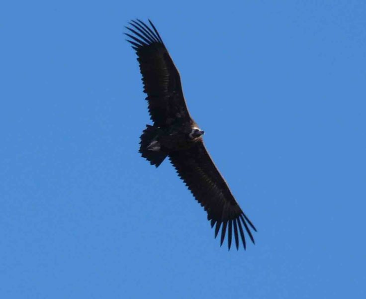 spain-6-19-april-2009-lumix-mjmcgill-002