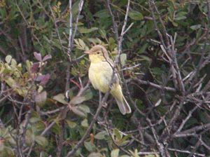 spain-6-19-april-2009-coolpix-lumix-mjmcgill-118