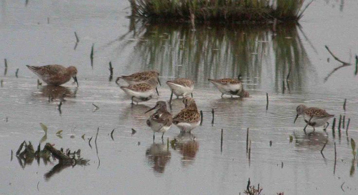 26-april-coolpix-2009-mjmcgill-0321
