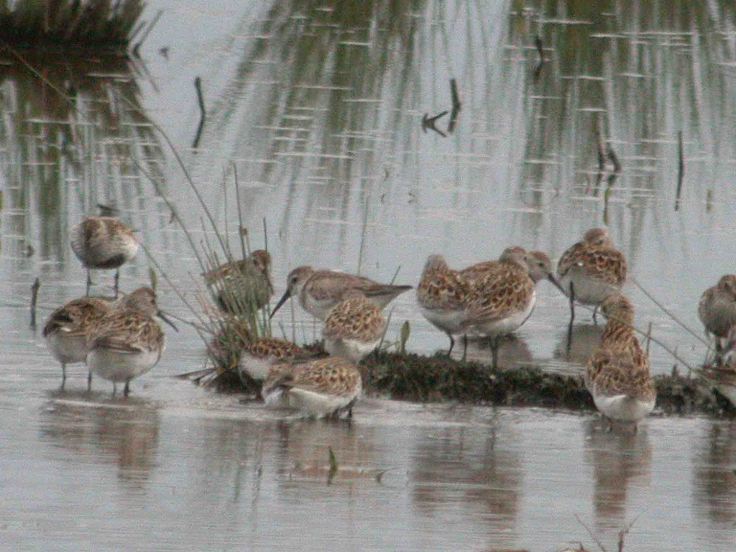26-april-coolpix-2009-mjmcgill-0431