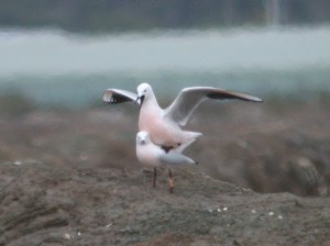 spain-6-19-april-2009-coolpix-lumix-mjmcgill-104