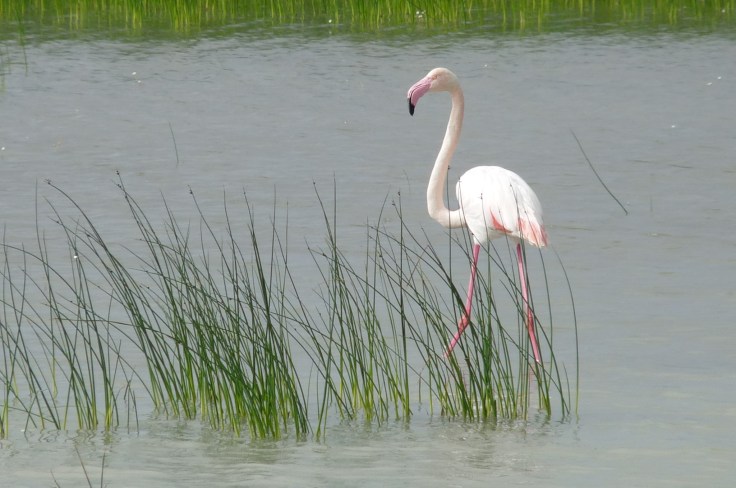 spain-6-19-april-2009-lumix-mjmcgill-256