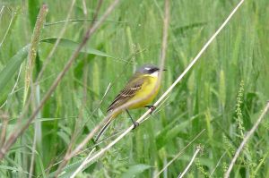 spain-6-19-april-2009-lumix-mjmcgill-314