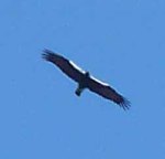 spain-6-19-april-2009-lumix-mjmcgill-046