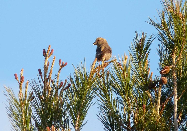 spain-6-19-april-2009-lumix-mjmcgill-044