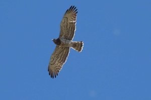 spain-6-19-april-2009-lumix-mjmcgill-041