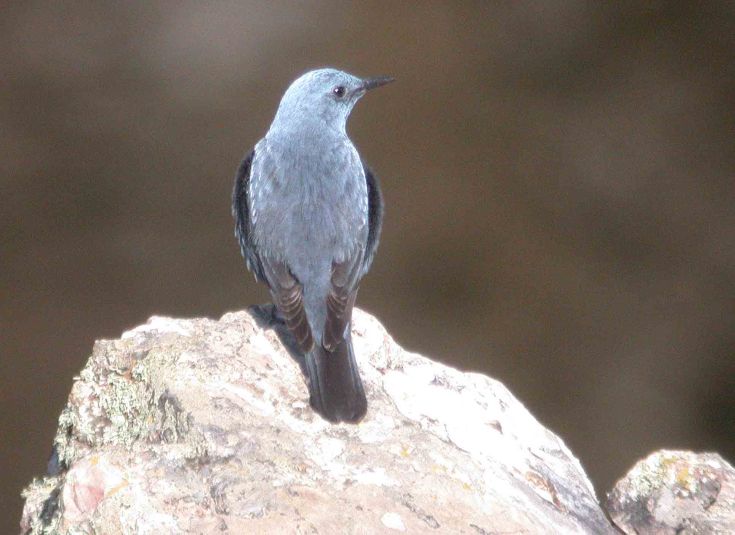 spain-6-19-april-2009-coolpix-lumix-mjmcgill-007