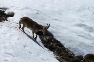 spain-6-19-april-2009-lumix-mjmcgill-065