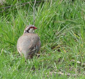 spain-6-19-april-2009-lumix-mjmcgill-311