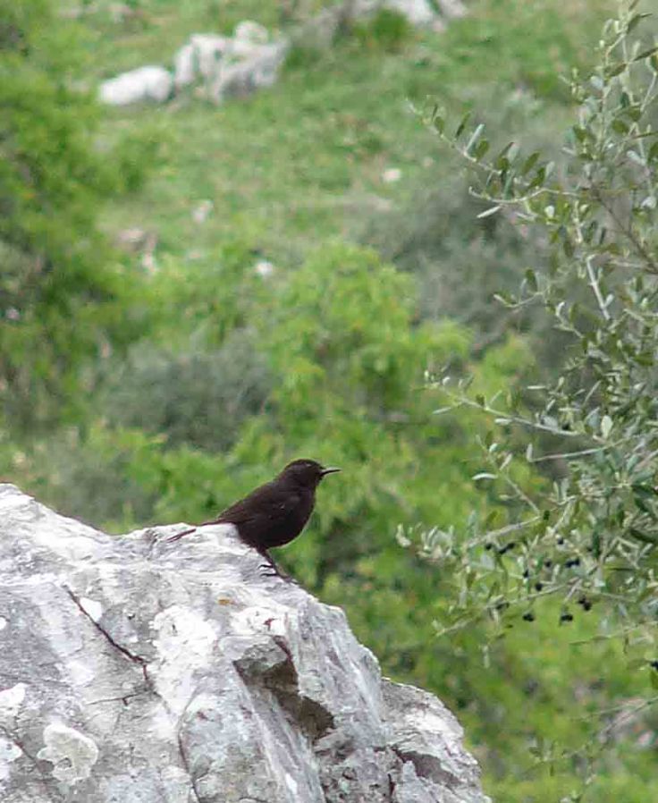 spain-6-19-april-2009-lumix-mjmcgill-303