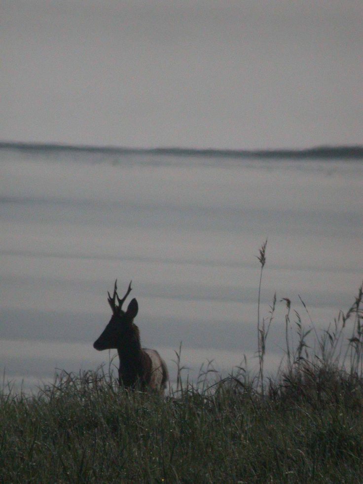 27-april-coolpix-2-2009-mjmcgill-002