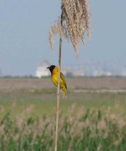 spain-6-19-april-2009-lumix-mjmcgill-298