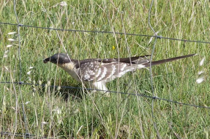 spain-6-19-april-2009-lumix-mjmcgill-021