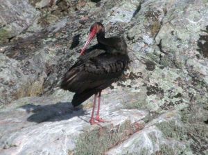 spain-6-19-april-2009-coolpix-lumix-mjmcgill-010