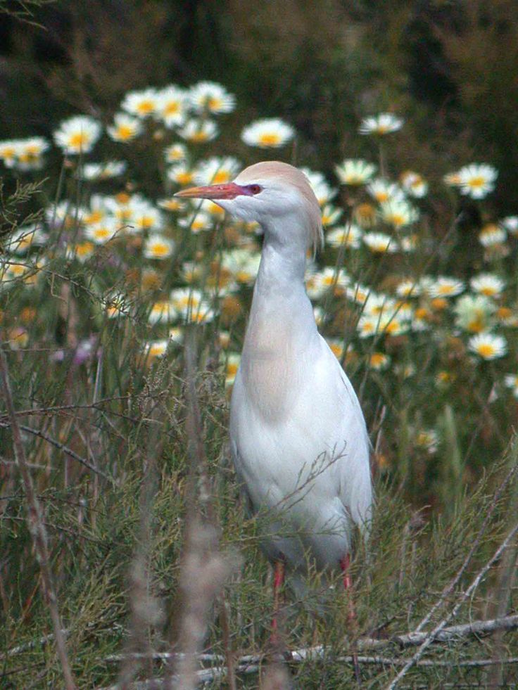spain-6-19-april-2009-coolpix-lumix-mjmcgill-070