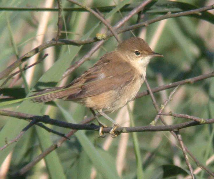 Even more of July 2006 MJMcGill 111