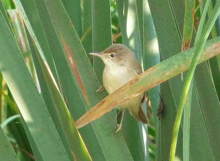 September 18 2008 MJMcGill 001