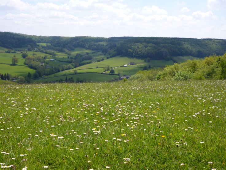 View fom Breakheart Quarry copy