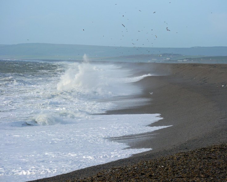 Chesil Cove, 27 Dec 13