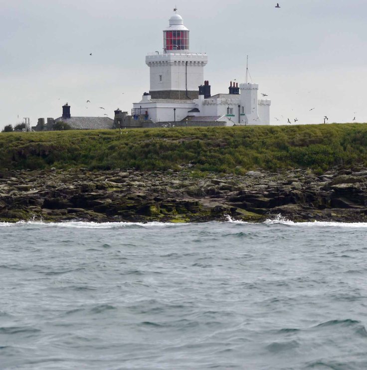 Coquet Island