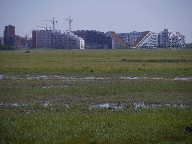 Coepnhagen development, Kalvebod
